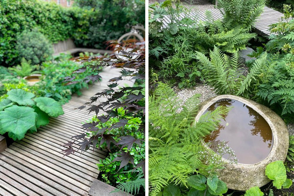 Carolien Barkman Gardens